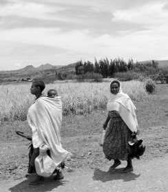 Vrouwen die terugkomen van de markt, Ethiopië, sept. 2013
